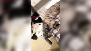 Hannahowo (hannah) Onlyfans Fans Leaks 19 yo Content Creator  58