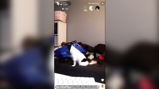 Laurenalexis_x (Lauren Alexis) OnlyFans Leaks laurenalexisgold Super exclusive content  100