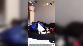 Laurenalexis_x (Lauren Alexis) OnlyFans Leaks laurenalexisgold Super exclusive content  139