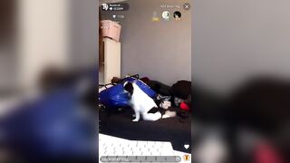 Laurenalexis_x (Lauren Alexis) OnlyFans Leaks laurenalexisgold Porn Video 65