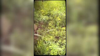 Paigevanzant (Paige VanZant) OnlyFans Leaks UFC Veteran pro wrestler 10