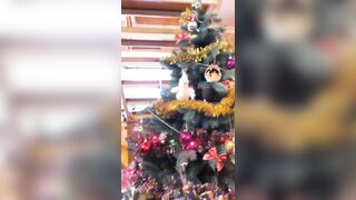 Redfoxofficial (Red Fox Official) OnlyFans Leaks Red Head Babe Theredfoxlife 336