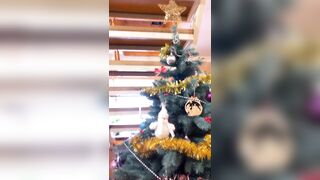 Redfoxofficial (Red Fox Official) OnlyFans Leaks Red Head Babe Theredfoxlife 336