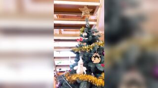 Redfoxofficial (Red Fox Official) OnlyFans Leaks Red Head Babe Theredfoxlife 336