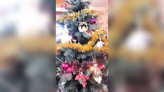 Redfoxofficial (Red Fox Official) OnlyFans Leaks Red Head Babe Theredfoxlife 336