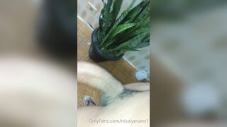 Nicolyevans1 (Nicoly Evans) OnlyFans Leaks Brazilian Transgender  72