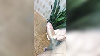 Nicolyevans1 (Nicoly Evans) OnlyFans Leaks Brazilian Transgender  72