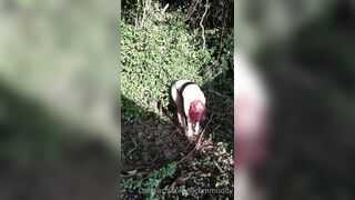 lilcommodity (Sadie Sadist) OnlyFans Leaks Sadistic Sadies Lingerie Lover  29