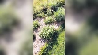 Saffronbacchus (Saffron Bacchus) OnlyFans Leaks Sexy Snaps of Candian Girl 263