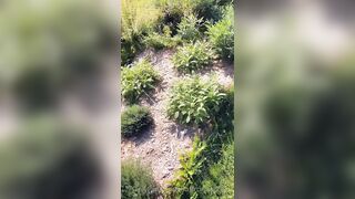 Saffronbacchus (Saffron Bacchus) OnlyFans Leaks Sexy Snaps of Candian Girl 263