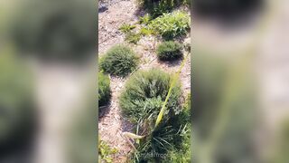 Saffronbacchus (Saffron Bacchus) OnlyFans Leaks Sexy Snaps of Candian Girl 263