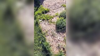 Saffronbacchus (Saffron Bacchus) OnlyFans Leaks Sexy Snaps of Candian Girl 263