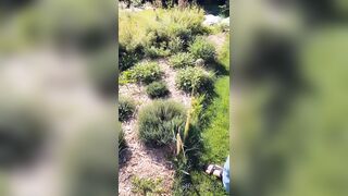 Saffronbacchus (Saffron Bacchus) OnlyFans Leaks Sexy Snaps of Candian Girl 263