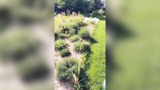 Saffronbacchus (Saffron Bacchus) OnlyFans Leaks Sexy Snaps of Candian Girl 263