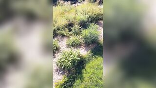 Saffronbacchus (Saffron Bacchus) OnlyFans Leaks Sexy Snaps of Candian Girl 263