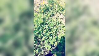 Saffronbacchus (Saffron Bacchus) OnlyFans Leaks Sexy Snaps of Candian Girl 216