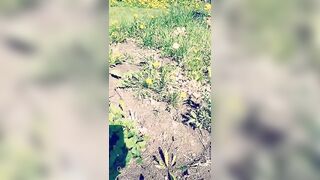 Saffronbacchus (Saffron Bacchus) OnlyFans Leaks Sexy Snaps of Candian Girl 216