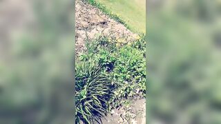 Saffronbacchus (Saffron Bacchus) OnlyFans Leaks Sexy Snaps of Candian Girl 216