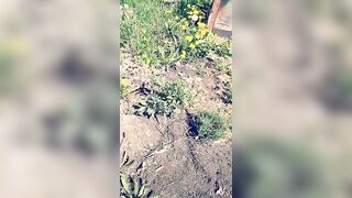 Saffronbacchus (Saffron Bacchus) OnlyFans Leaks Sexy Snaps of Candian Girl 216