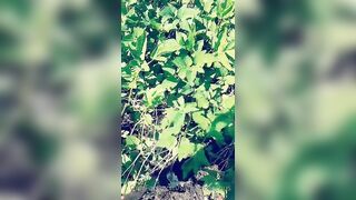 Saffronbacchus (Saffron Bacchus) OnlyFans Leaks Sexy Snaps of Candian Girl 216