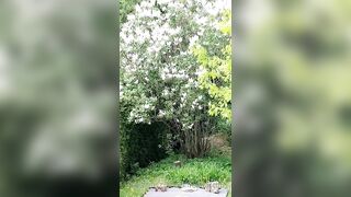 Saffronbacchus (Saffron Bacchus) OnlyFans Leaks Sexy Snaps of Candian Girl 213