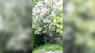 Saffronbacchus (Saffron Bacchus) OnlyFans Leaks Sexy Snaps of Candian Girl 213