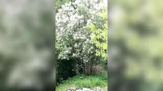 Saffronbacchus (Saffron Bacchus) OnlyFans Leaks Sexy Snaps of Candian Girl 213