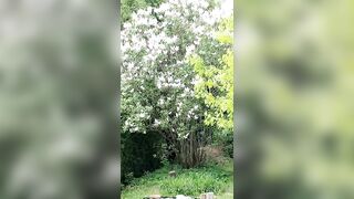 Saffronbacchus (Saffron Bacchus) OnlyFans Leaks Sexy Snaps of Candian Girl 213