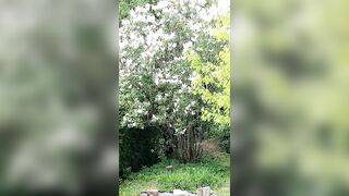 Saffronbacchus (Saffron Bacchus) OnlyFans Leaks Sexy Snaps of Candian Girl 213