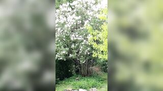 Saffronbacchus (Saffron Bacchus) OnlyFans Leaks Sexy Snaps of Candian Girl 213