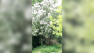 Saffronbacchus (Saffron Bacchus) OnlyFans Leaks Sexy Snaps of Candian Girl 213