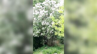 Saffronbacchus (Saffron Bacchus) OnlyFans Leaks Sexy Snaps of Candian Girl 213