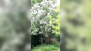 Saffronbacchus (Saffron Bacchus) OnlyFans Leaks Sexy Snaps of Candian Girl 213