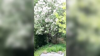 Saffronbacchus (Saffron Bacchus) OnlyFans Leaks Sexy Snaps of Candian Girl 213