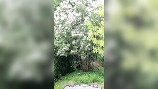 Saffronbacchus (Saffron Bacchus) OnlyFans Leaks Sexy Snaps of Candian Girl 213