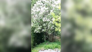 Saffronbacchus (Saffron Bacchus) OnlyFans Leaks Sexy Snaps of Candian Girl 213