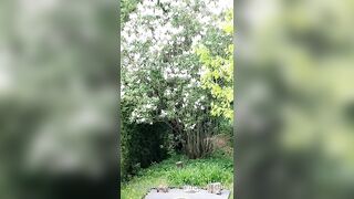 Saffronbacchus (Saffron Bacchus) OnlyFans Leaks Sexy Snaps of Candian Girl 213