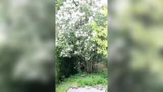 Saffronbacchus (Saffron Bacchus) OnlyFans Leaks Sexy Snaps of Candian Girl 213