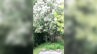 Saffronbacchus (Saffron Bacchus) OnlyFans Leaks Sexy Snaps of Candian Girl 213