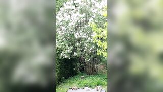 Saffronbacchus (Saffron Bacchus) OnlyFans Leaks Sexy Snaps of Candian Girl 213