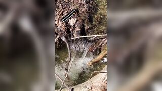 Saffronbacchus (Saffron Bacchus) OnlyFans Leaks Sexy Snaps of Candian Girl 309