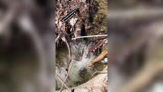 Saffronbacchus (Saffron Bacchus) OnlyFans Leaks Sexy Snaps of Candian Girl 309