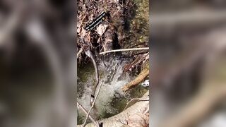 Saffronbacchus (Saffron Bacchus) OnlyFans Leaks Sexy Snaps of Candian Girl 309