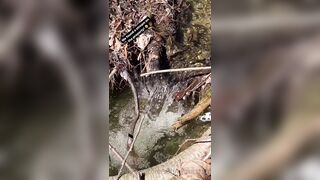 Saffronbacchus (Saffron Bacchus) OnlyFans Leaks Sexy Snaps of Candian Girl 309