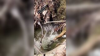 Saffronbacchus (Saffron Bacchus) OnlyFans Leaks Sexy Snaps of Candian Girl 309