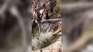 Saffronbacchus (Saffron Bacchus) OnlyFans Leaks Sexy Snaps of Candian Girl 309