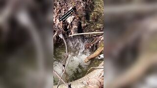 Saffronbacchus (Saffron Bacchus) OnlyFans Leaks Sexy Snaps of Candian Girl 309