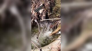 Saffronbacchus (Saffron Bacchus) OnlyFans Leaks Sexy Snaps of Candian Girl 309