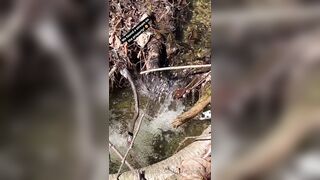 Saffronbacchus (Saffron Bacchus) OnlyFans Leaks Sexy Snaps of Candian Girl 309