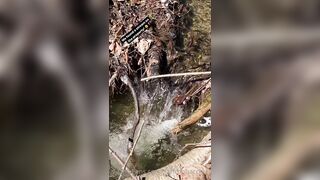 Saffronbacchus (Saffron Bacchus) OnlyFans Leaks Sexy Snaps of Candian Girl 309